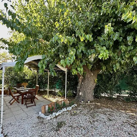 Historic In With Spa, Pool, Barbecue, Gym And Garden Holiday home *