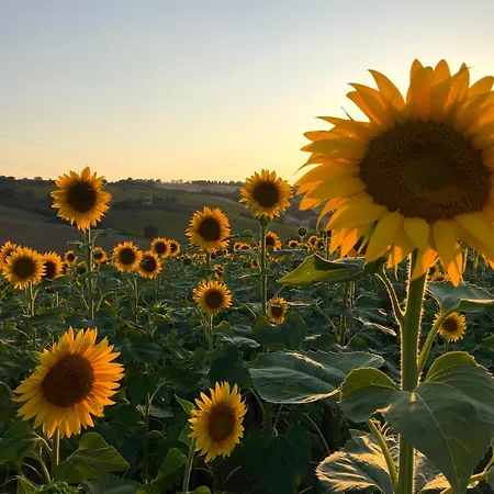 Ancient Charm Retreat With Dream Pool, Private Sauna Whirlpool Apartmán