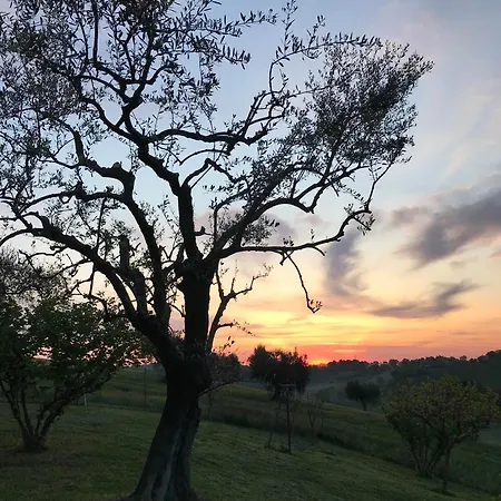 Ancient Charm Retreat With Dream Pool, Private Sauna Whirlpool Senigallia