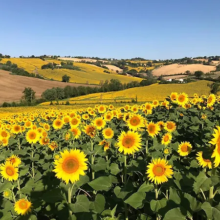 Ancient Charm Retreat With Dream Pool, Private Sauna Whirlpool Apartmán Senigallia