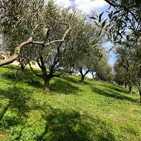 Ancient Charm Retreat With Dream Pool, Private Sauna Whirlpool Apartmán *